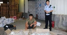 穿山甲为中间宿主冲上热搜!对于中间宿主穿山甲来说或许是一个惊喜!