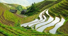 联合国驻华协调员:构建可持续发展目标伙伴关系平台,实现粮食安全