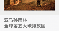 亚马孙雨林,全球第五大碳排放国