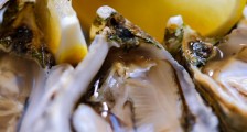 第六届“好味法兰西”启动 聚焦“明日美食”