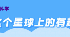 一只蝙蝠被选为年度鸟类,听着比美国选总统还离谱