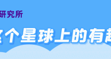 国外网红举办现实版《鱿鱼游戏》，赢了就给290万！