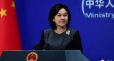 华春莹火力全开!西方还嫌不够丢人吗?