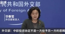 暂停审议中欧全面投资协定,谁该紧张?