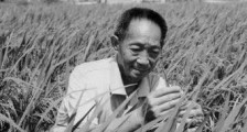 袁隆平的意义!