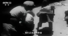 了解西藏70年，这部纪录片必看！