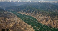 塔利班的禁毒政策能成功吗？