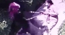 狗咬人,“小事”何以拖成大舆情?