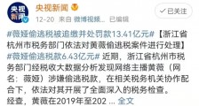 “薇娅们”背后的问题:隐形垄断!