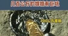Lannidie:阿波罗与嫦娥一比,疑点不少 |2021