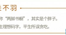 二十年骗补大梦,碎了一地!