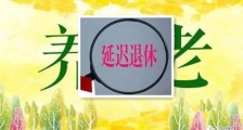 延迟退休问题的本质是什么?
