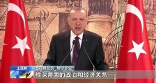 西毒土耳其被制裁,“大哥梦”堪忧!