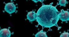 新冠病毒真正的源头确认了吗 专家给出最新证据