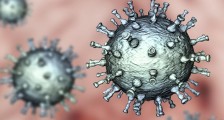 新冠病毒是从美国流出来的? 美科学家查出了结果