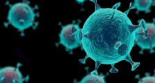 新冠病毒怕高温天气吗 最新研究发现仍能存活_新冠病毒怕高温天气吗
