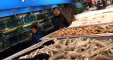 新发地老板是谁 来看下相关的资料简介_新发地老板是谁
