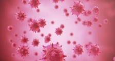 上海夫妻确诊:女方系医护人员 他们怎么感染病毒的?