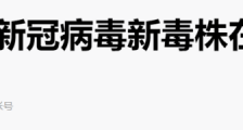 花猫哥哥:人权之殇:英国疫情失控的反思|2020