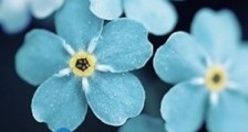 蒋校长:这场全世界都在围观的政治闹剧,正在撕裂这个国家