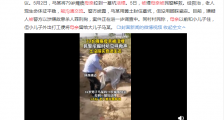 陕西榆林活埋瘫痪母亲事件后续:被活埋母亲已能沟通交流生命体征平稳_陕西榆林,活埋,瘫痪母亲