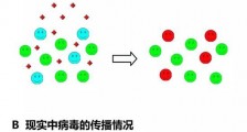 群体免疫是什么它能用来防疫新冠病毒吗?一文详解英国的群体免疫是个什么东西!