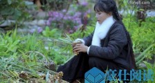 李子柒方否认年收入1.6亿怎么回事?李子柒年赚1.6亿是真的吗