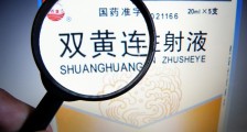 武汉病毒研究所双黄连事件 所长王延轶及老公资料被扒