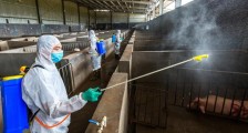 厂家大量生产84消毒液 正确使用的流程揭晓