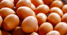 2020年2月鸡蛋价格 未来走势会不会升温？