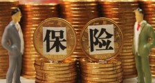李文亮妻子付雪洁是干什么的 险企对其赔款总额多少