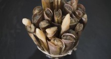 武汉华南海鲜市场现状 还有商铺营业吗?