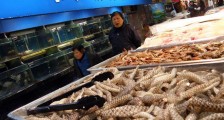 华南海鲜市场女老板背景怎么样 名下有29家公司
