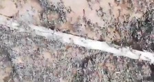 非洲蝗虫危机加剧!肯尼亚虫卵陆续孵化幼虫密密麻麻令人头皮发麻