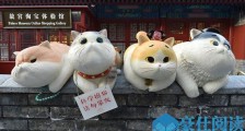 故宫现巨型御猫怎么回事 又一网红打卡圣地曝光一睹为快