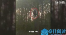 男子被疯牛怼上树 这还是自家养的牛事件后续曝光