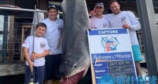 男童捕628斤巨鲨 曝现场画面令人惊叹他是怎么做到的