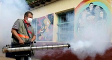 南美爆发几十年来最严重登革热疫情,多国宣布进入紧急卫生状态