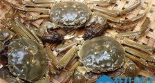 大闸蟹买了份保险是怎么回事 具体详情内容大曝光