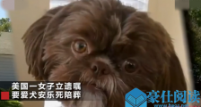立遗嘱要爱犬陪葬 详情令人震惊不已众人欲救狗均失败