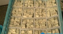 粪水臭豆腐是真的吗 用大便的粪水浸泡制作是怎么回事