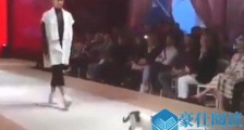 走秀台上出现一只猫怎么回事 猫为什么会出现在走秀台上?【图】