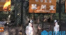猕猴被景区关禁闭怎么回事 曝详情经过画面反而逗乐网友【图】