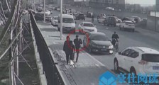 碰瓷遛狗人是怎么回事 事发详情经过曝光碰瓷套路了解下