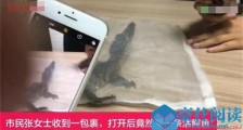快递包裹竟然会动 详情曝光真相原来系10岁儿子的“杰作”【图】