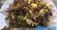 树皮炒蛋怎么回事 树皮炒蛋用的什么树皮