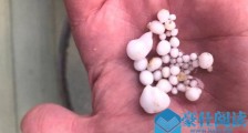 吃生蚝吐48颗珍珠 这一幕把朋友们都看着目瞪口呆