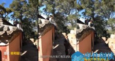 老外爬颐和园围墙 老外爬颐和园围墙干什么揭前因后果【图】