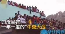 印度牛粪大战怎么回事 印度牛粪大战场面激烈令人看傻眼