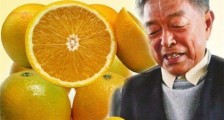 褚橙真有那么好吃吗 褚橙和赣南脐橙对比其有什么特点